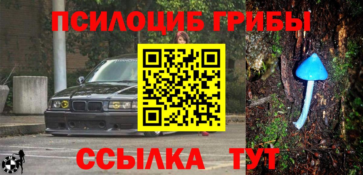 Галлюциногенные грибы Psilocybine cubensis  Вход с VPN  Ликино-Дулёво 